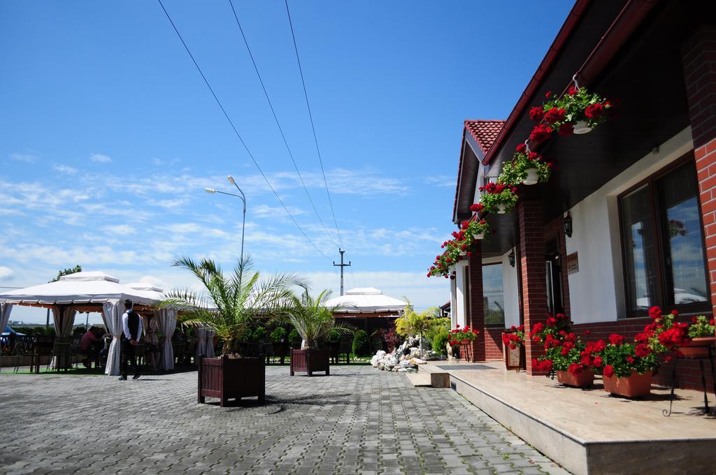 Pensiunea Terra Bistrita  Exterior photo